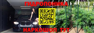 спиды Партизанск