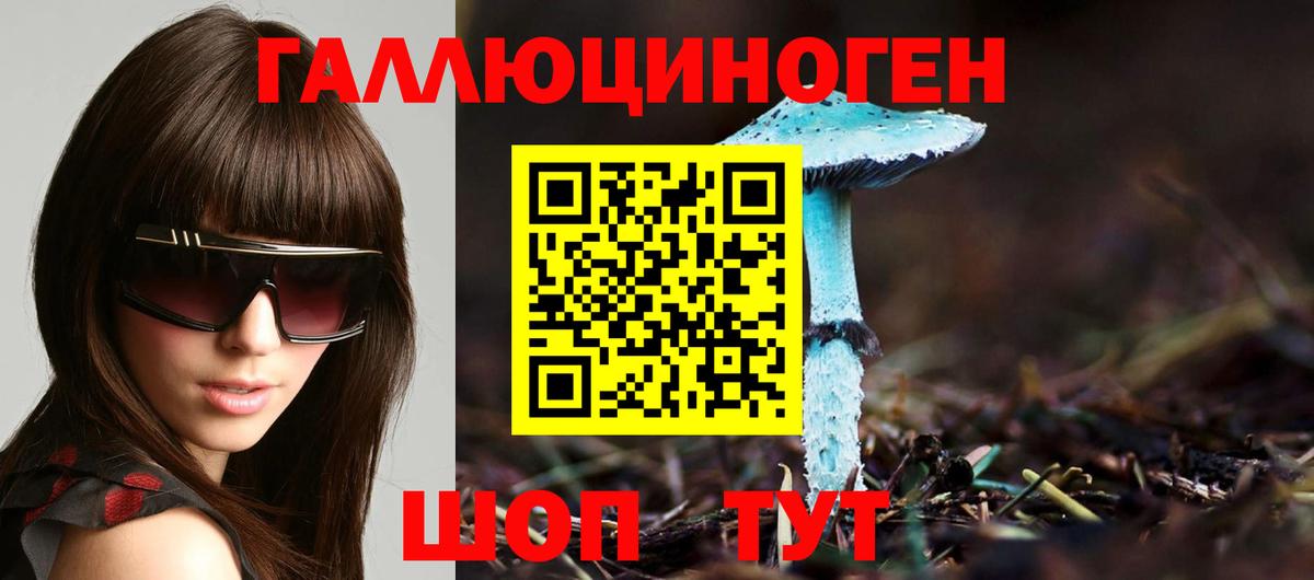 Сорочинск  Галлюциногенные грибы Cubensis  Вход с VPN  Галлюциногенные грибы GOLDEN TEACHER 