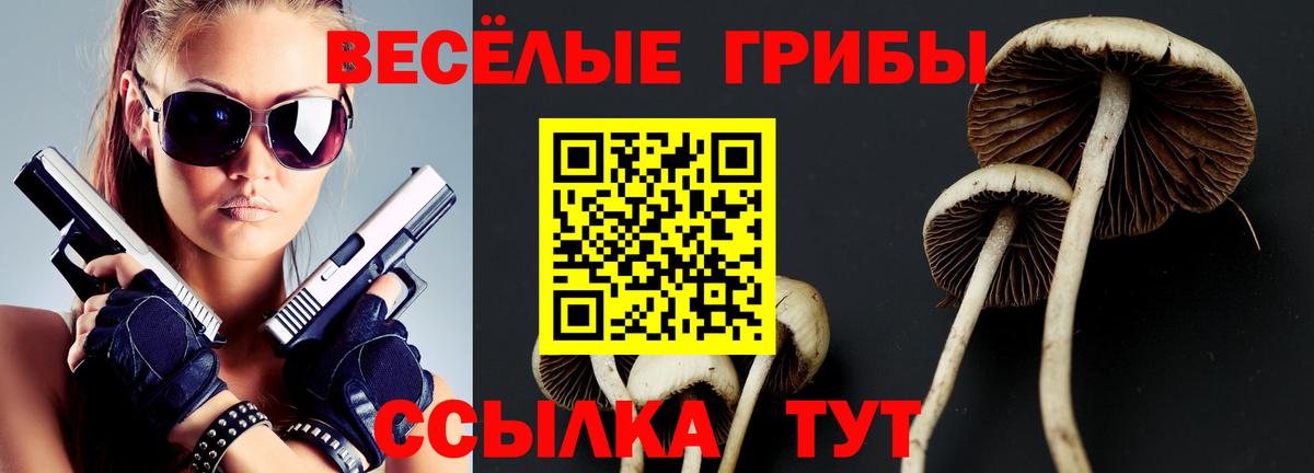 Псилоцибиновые грибы ЛСД Сорочинск